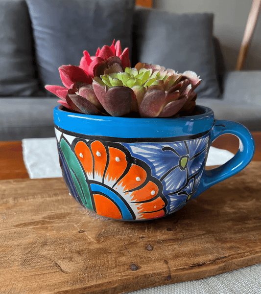 Case of 8 Talavera Cup Planter 10"