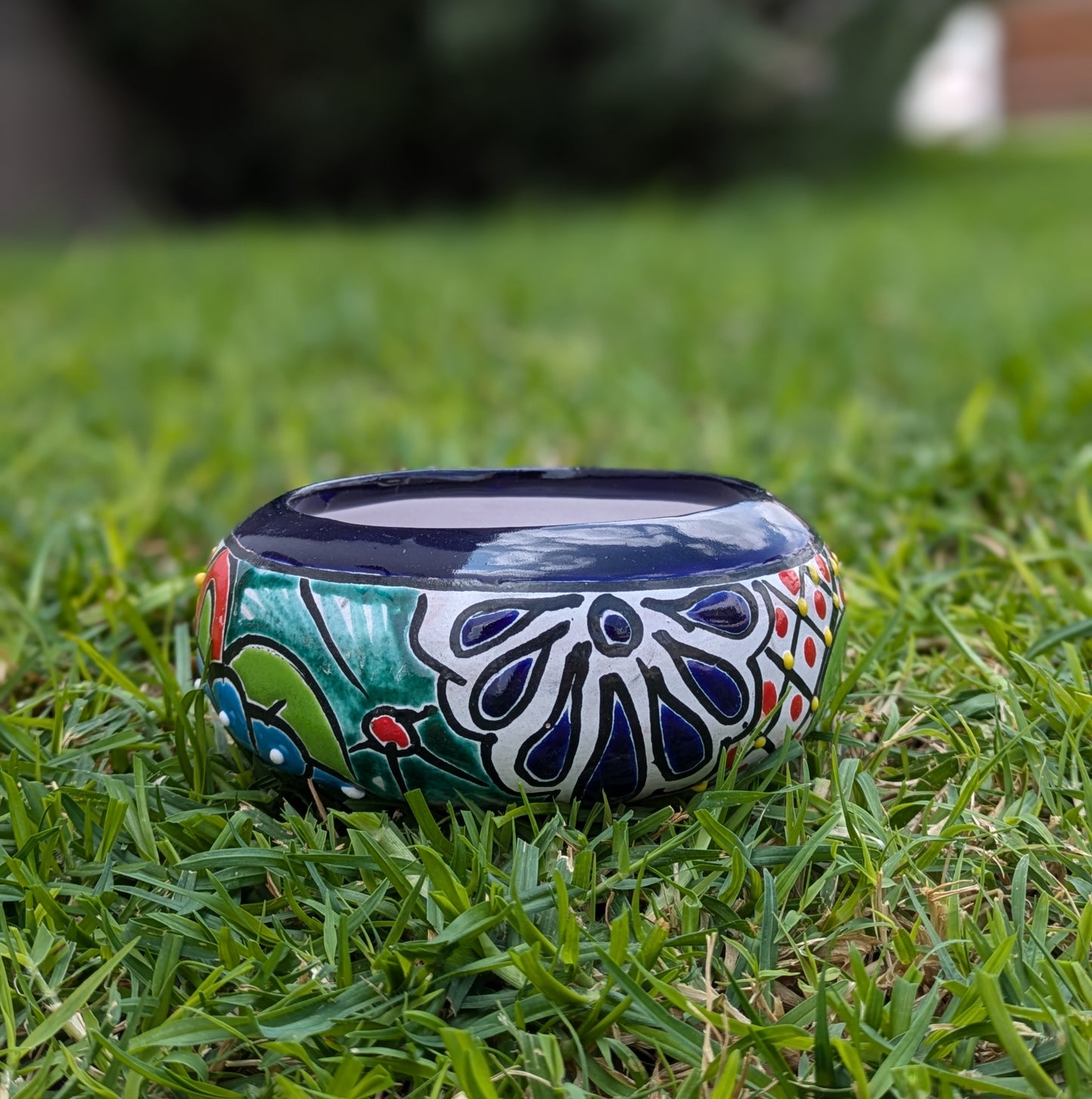 Case of 8 Talavera Donut Planter 5"