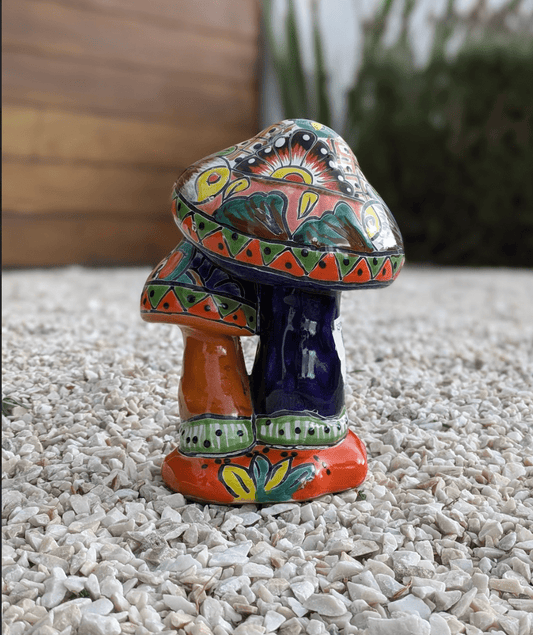 Case of 6 Talavera Double Mushroom