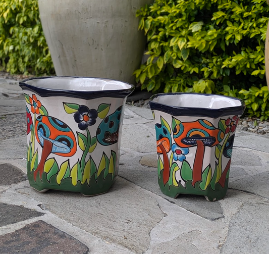 set of 2 octagonal pot