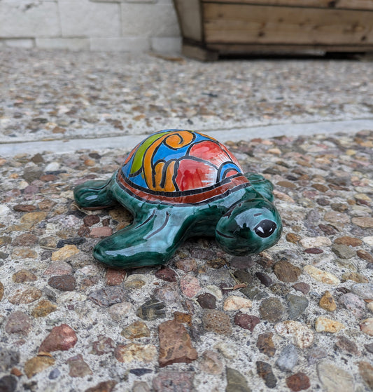 Case of 6 Talavera wing turtle